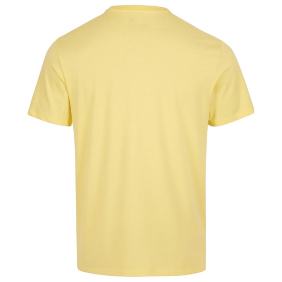 O'neill Ανδρική κοντομάνικη μπλούζα Arrowhead T-Shirt O'neill Ανδρική κοντομάνικη μπλούζα Arrowhead T-Shirt